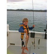 Chomp - Jonathan Hudson