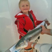 Chomp - Michael Hudson